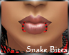 *LMB* Blk&Red Snake Bts