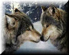 ~Angel~ Wolves Pillows