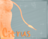 [N] Citrus Tail v2