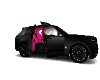 RR - Pink Fury