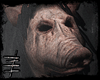 #pig.mask