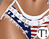 T! 4th July Flag Shorts