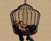 {S} Cuddle Cage