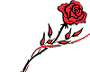 [DS]Rose2
