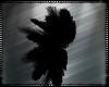Black Hair Feathers
