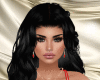 RLL Red Bundle