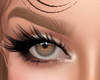 EYESBROWNS BROWN