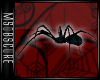 -:| Asher Spider |:-