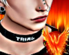 Trial Collar (M)