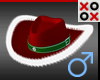Christmas Cowboy Hat