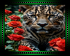 🌹 Jaguar Background