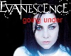 evanescence going under