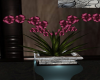 Fuchsia Orchid Planter