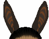 Zrose ears