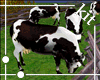 Lively Animated Cow