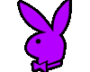 Playboy Bunny Purple