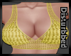 ! Sheer Crochet Top -V.3