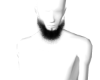 Asteri Beard #005