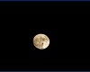 [LJ]Full Moon Backdrop