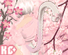 Ko ll Kitty Tail