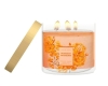 Mango Waters Candle