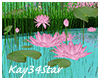 Lovely Lily Pads