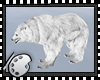 (*A) White Angry Bear