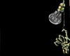 Z* Arm Spiked Collar B/S