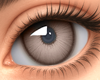 Dream Brown Eyes