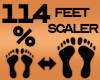 Feet Scaler 114%