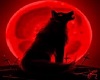 Wolf w/ Red Eyes