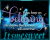 Believe in Dreaming Sign