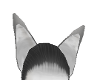 White furry ears
