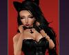 Cute Cat Doll Dolls Black Dress Girl Girls Sweet