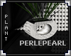 [LyL]Perles Office Plant