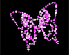 Butterfly 002