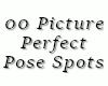00 Pic Perf Spots 4
