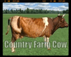 *Country Farm Cow
