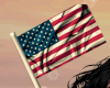 America Flag In Hand
