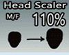 HEAD 110%