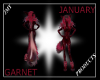 Garnet Furry(FEMALE)