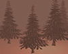 !Snowy pines