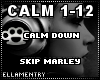 Calm Down-Skip Marley