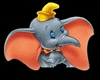 IG-Baby Dumbo 