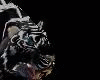 DJ Black TIger