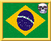 (FZ)Brazil Picture Frame