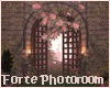 Forte Photoroom 2023