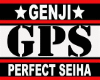 GPS Flag