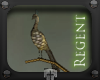 Regent Peacock