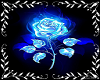 Midnight Rose Blue